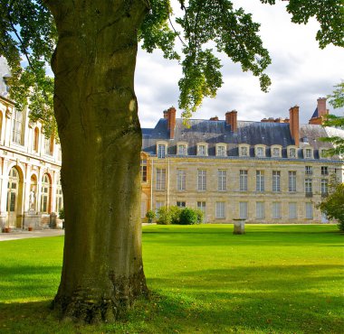 fontainebleau, Fransa kale önündeki ağacı