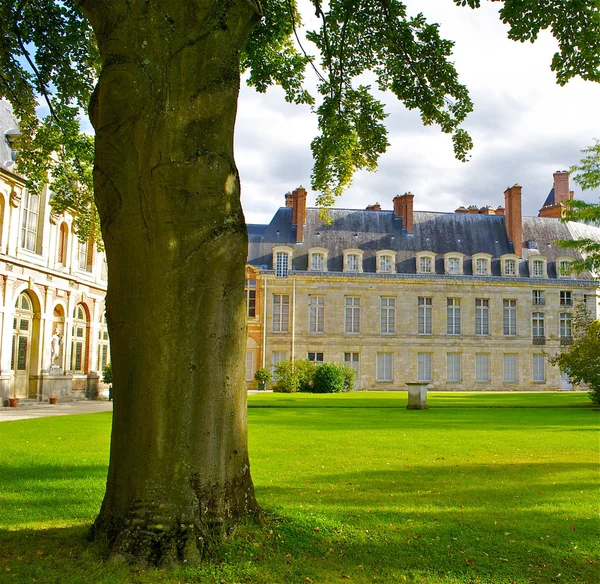 Träd framför fontainebleau, franska slott — Stockfoto