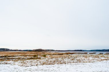 manzara kış mihaylovskoe, pskov region, Rusya Federasyonu