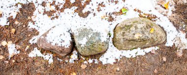 Stones under the snow