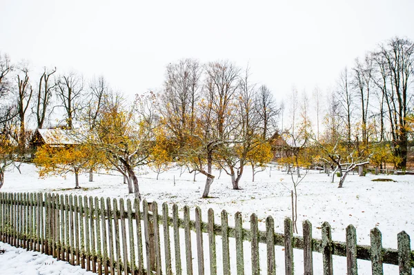 Village Mihaylovskoe no inverno na Rússia — Fotografia de Stock