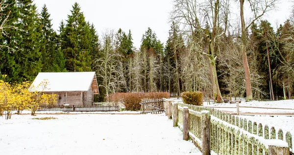 Dorp mihaylovskoe in de winter in Rusland — Stockfoto