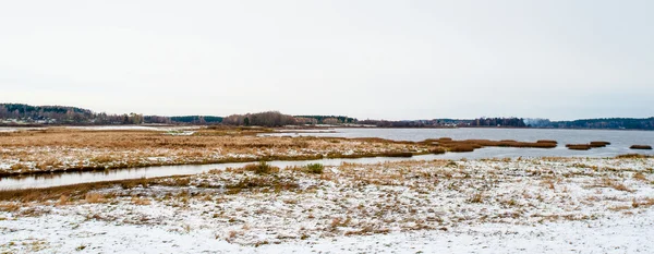 Landschap van de winter in mihaylovskoe, pskov-regio, Rusland — Stockfoto