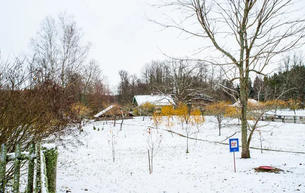 Paesaggio dell'inverno a Mihaylovskoe, regione di Pskov, Russia — Foto Stock