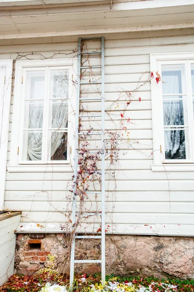 Alexandr Pouchkine résidence dans un village Mihaylovskoe, Russie — Photo