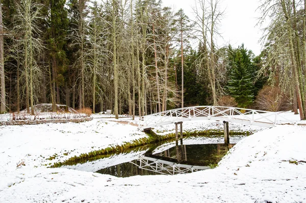 Bridge over the lake in winter — Stok fotoğraf