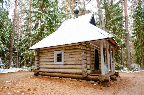 Villaggio Trigorskoe in Russia in inverno — Foto Stock