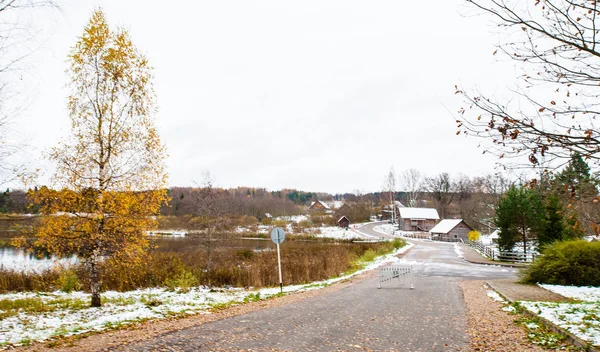 Paisaje del invierno en Mihaylovskoe, región de Pskov, Rusia —  Fotos de Stock