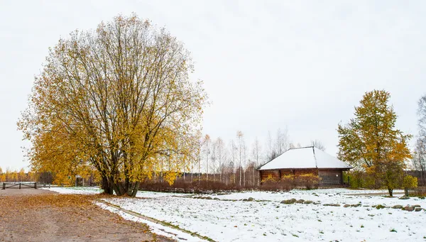 Trigorskoye, l'ex tenuta di Praskovya Osipova, un caro amico di Pushkin . — Foto Stock