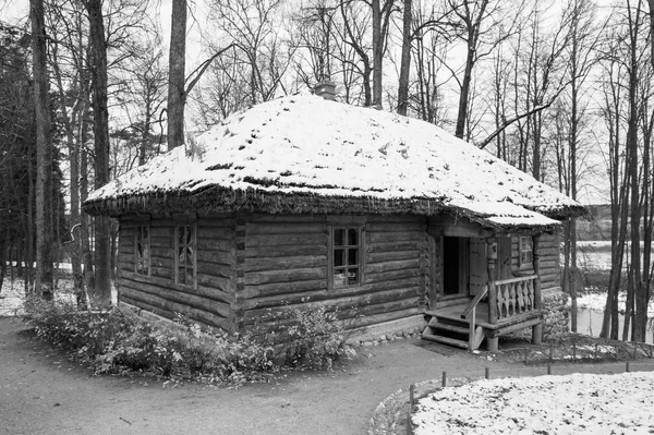 Sam dom drewniany w zima w lesie — Zdjęcie stockowe