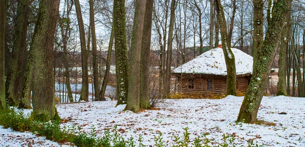 Sozinha casa de madeira no inverno em uma floresta — Fotografia de Stock