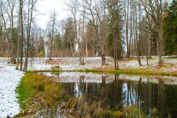 Λίμνη στο δάσος το χειμώνα στη Ρωσία — Φωτογραφία Αρχείου