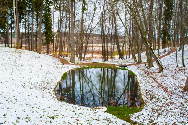 Lago em uma floresta em inverno na Rússia — Fotografia de Stock
