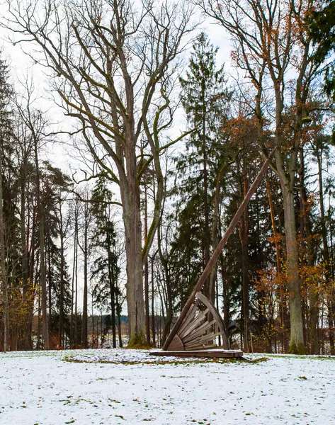 Floresta russa no inverno — Fotografia de Stock