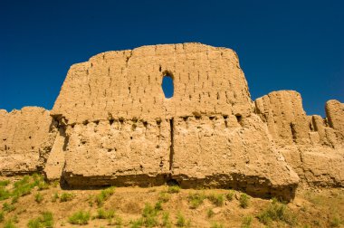 Harezm, Özbekistan, çöl, Asya