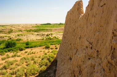 Harezm, Özbekistan, çöl, Asya