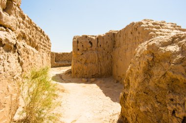 Harezm, Özbekistan, çöl, Asya