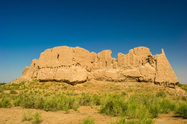 Khwarezm, Uzbekistan, desert, Asia — Stock Photo, Image