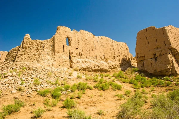 Khwarezm, uzbekistan, öknen, Asien — Stockfoto