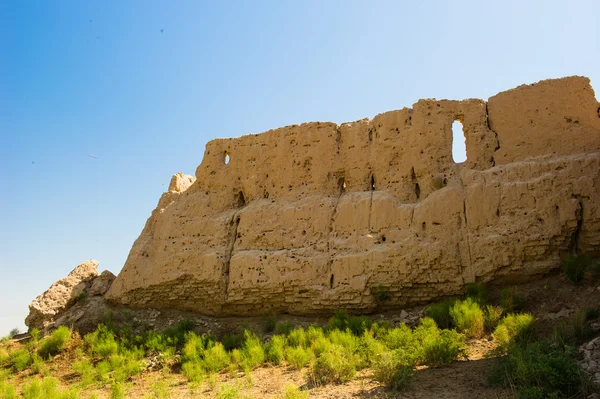 Khwarezm, Uzbekistan, deserto, Asia — Foto Stock