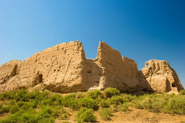 Khwarezm, Ouzbékistan, désert, Asie — Photo