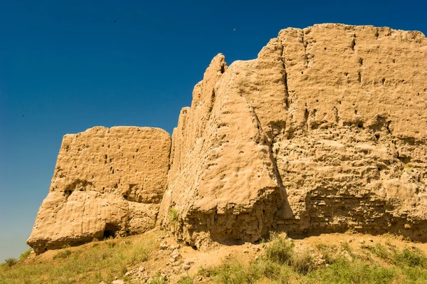 Harezm, Özbekistan, çöl, Asya — Stok fotoğraf