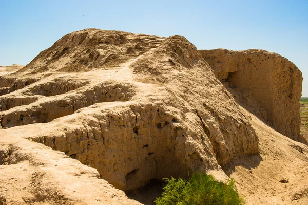 Khwarezm, Uzbekistán, desierto, Asia —  Fotos de Stock