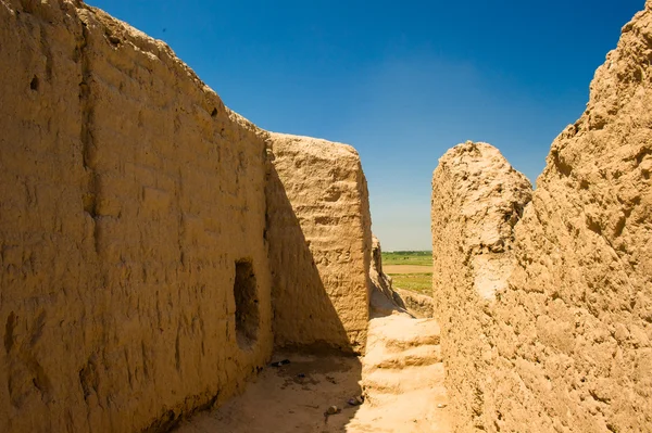 Khwarezm, Uzbekistán, desierto, Asia —  Fotos de Stock