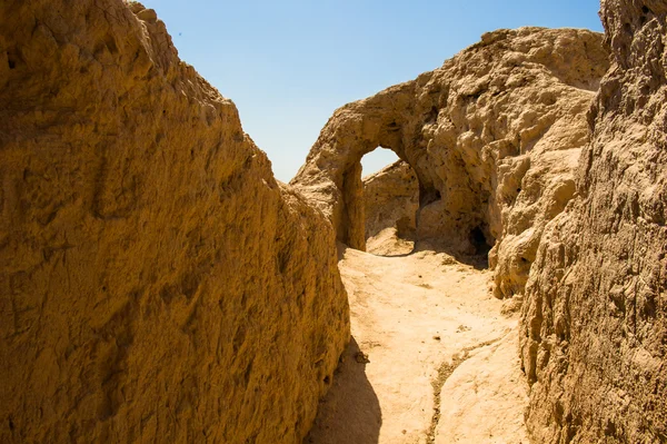 Khwarezm, Uzbekistán, desierto, Asia —  Fotos de Stock