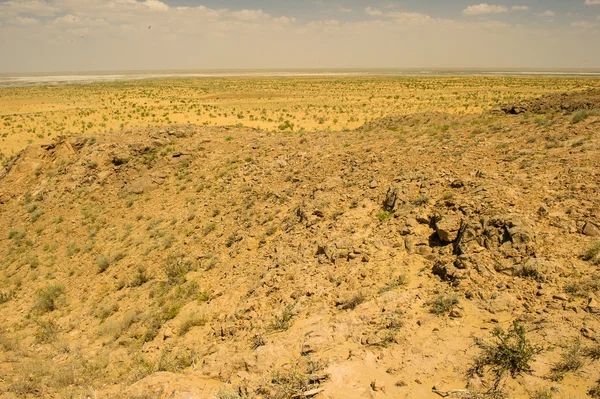 Khwarezm, uzbekistan, öknen, Asien — Stockfoto