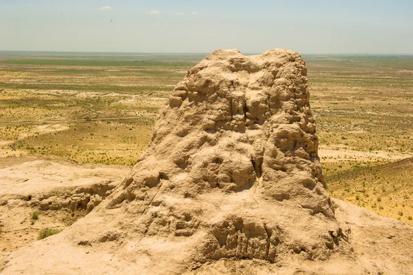 Khwarezm, 우즈베키스탄, 사막, 아시아 — 스톡 사진