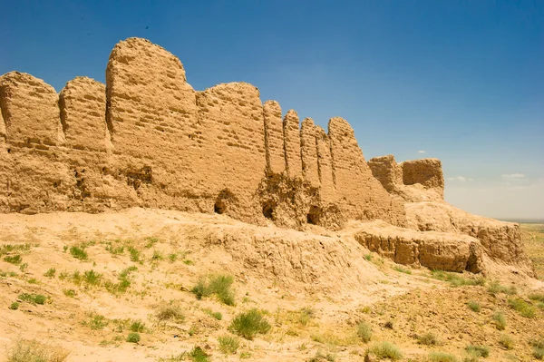 Khwarezm, Uzbekistán, desierto, Asia —  Fotos de Stock