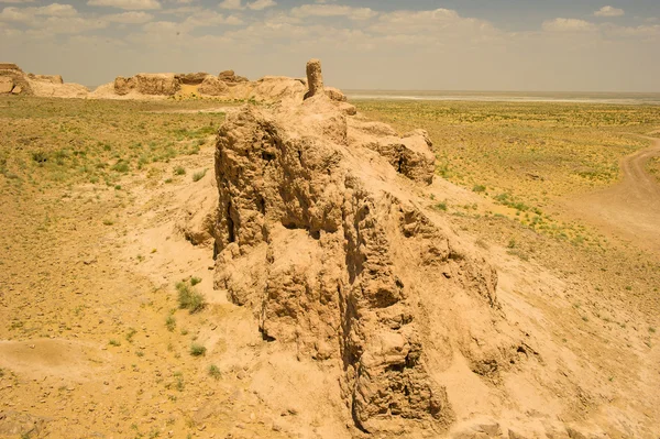 ウズベキスタン、ホラズム砂漠、アジア — ストック写真