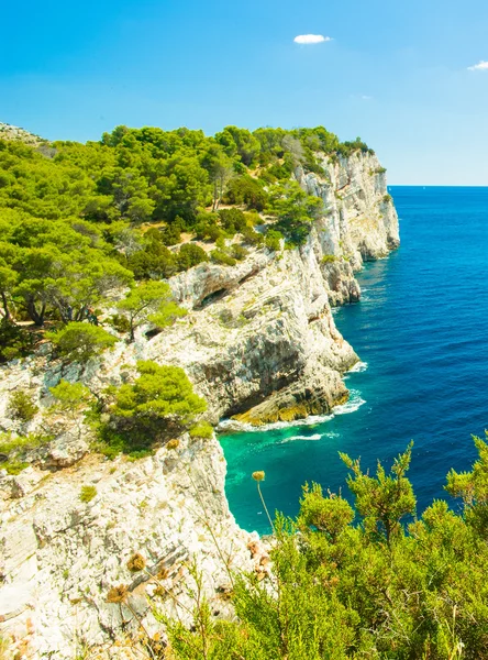 アドリア海、クロアチア、クロアチアの海岸、ヨーロッパ — ストック写真