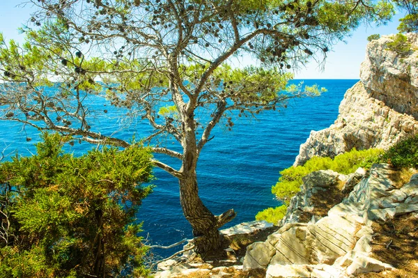 Adriyatik Denizi, Hırvatistan, Hırvat sahil, Avrupa — Stok fotoğraf