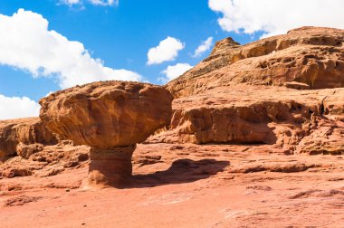 timna Valley, Israel mantar taşı