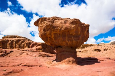 timna Valley, Israel mantar taşı