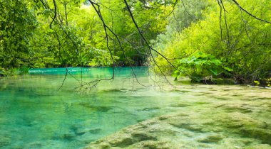 Yeşil vaha Hırvatistan çok güzel siir