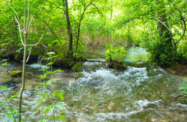 Hırvatistan'daki su Güz