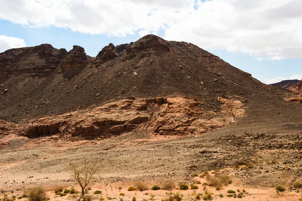 Landscape of the Timna Valley — Stock Photo, Image
