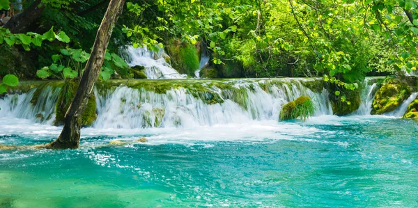 Très beau soupir d'une oasis verte en Croatie — Photo