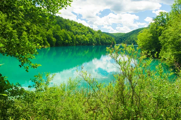 Blå floden bland höga grönt gräs i Kroatien — Stockfoto