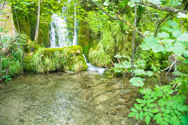 Pequeña cascada en el bosque de Croacia — Foto de Stock