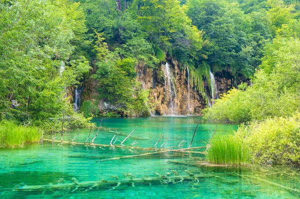 Μικρό ποτάμι, όμορφη φύση, ημέρα ηλιόλουστη, καλοκαίρι — Φωτογραφία Αρχείου