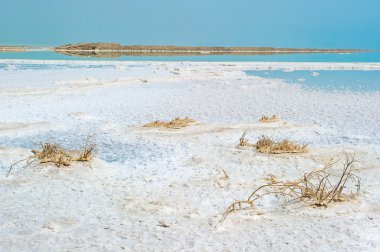 sahil, dead sea, İsrail
