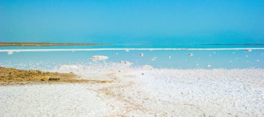 Coast of the Dead Sea, Israel clipart