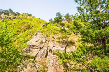 takma kumgang