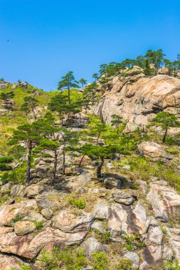yaz günü, mount kumgang