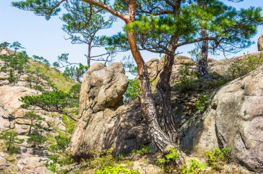 yaz günü, mount kumgang