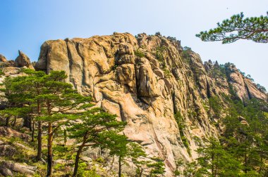 Peyzaj kayalar doğa manzarası